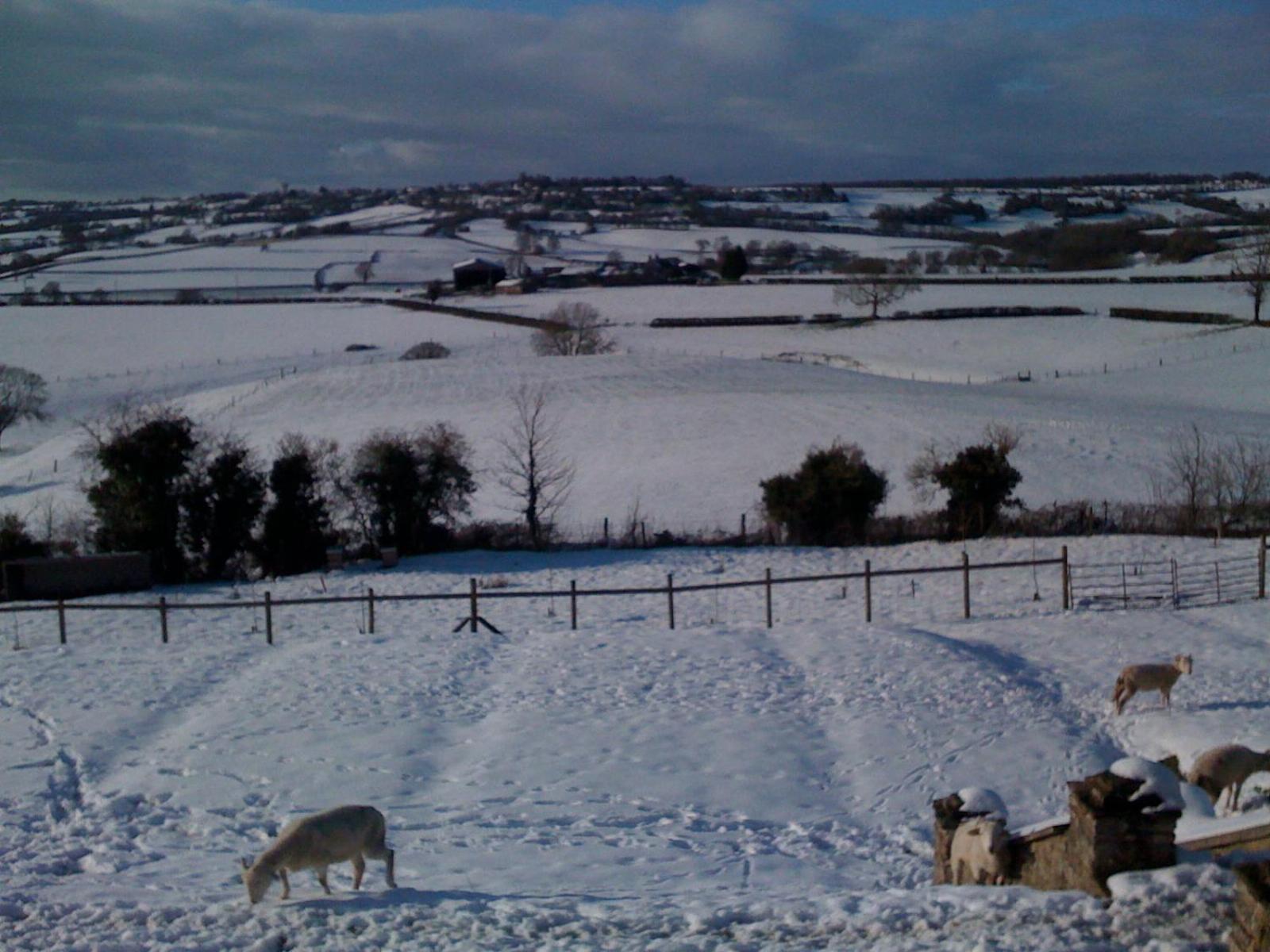 Penzion T'S At Lower Rudloe Farm Corsham Exteriér fotografie